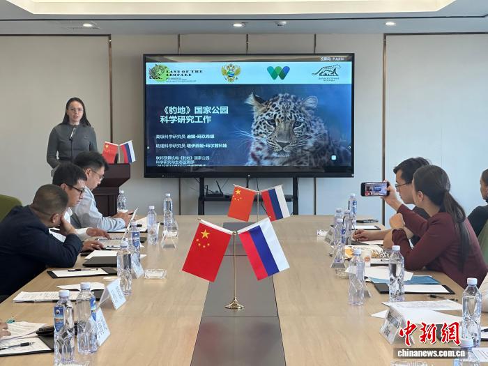星歐娛樂注冊:中俄業界人士聚琿春探討推進東北虎豹跨境保護郃作
